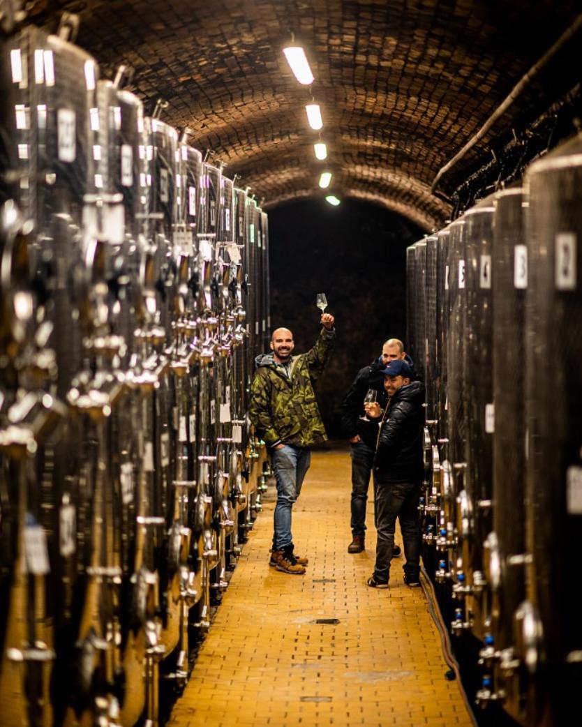 Ubytovani Ve Vinarstvi Zd Nemcicky Экстерьер фото